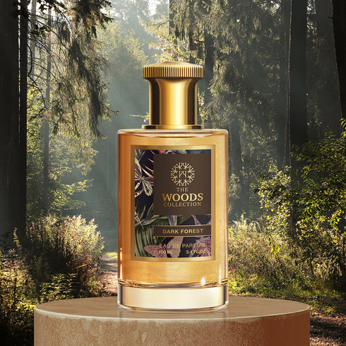 Dark Forest by The Woods Collection